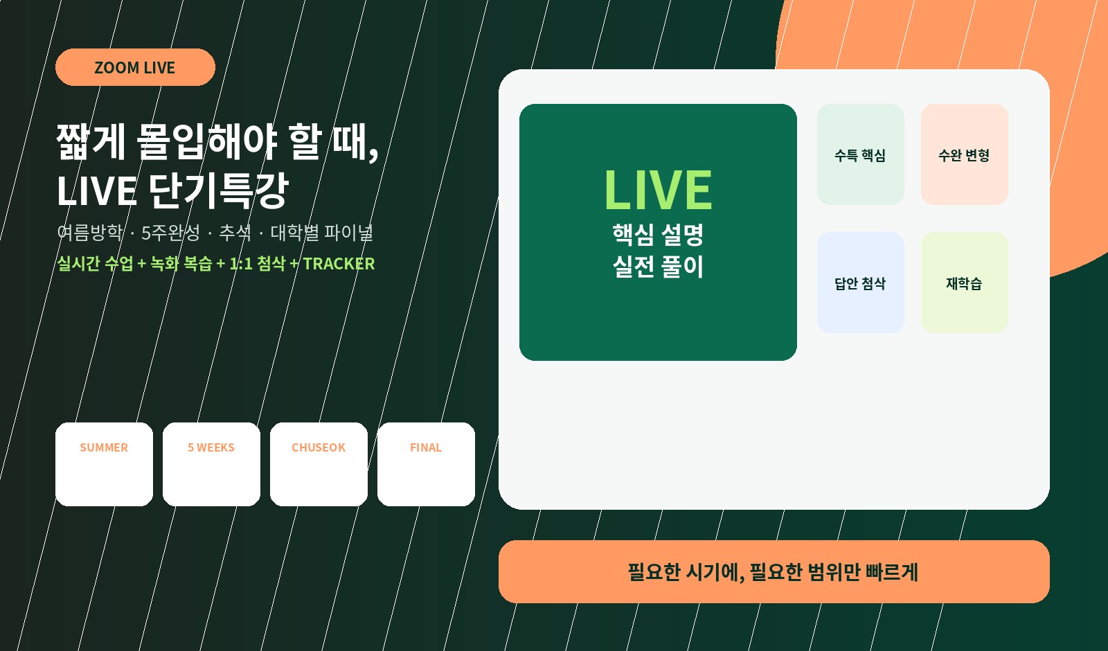 스터짐 온라인 라이브 단기특강
